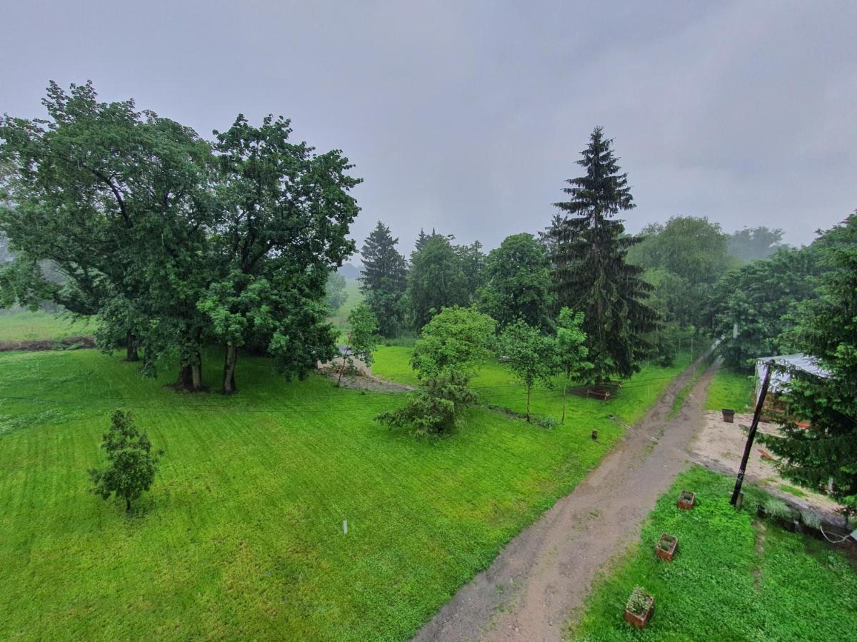 Palac Lawica- Splywy Przelomem Bardzkim Kłodzko Esterno foto