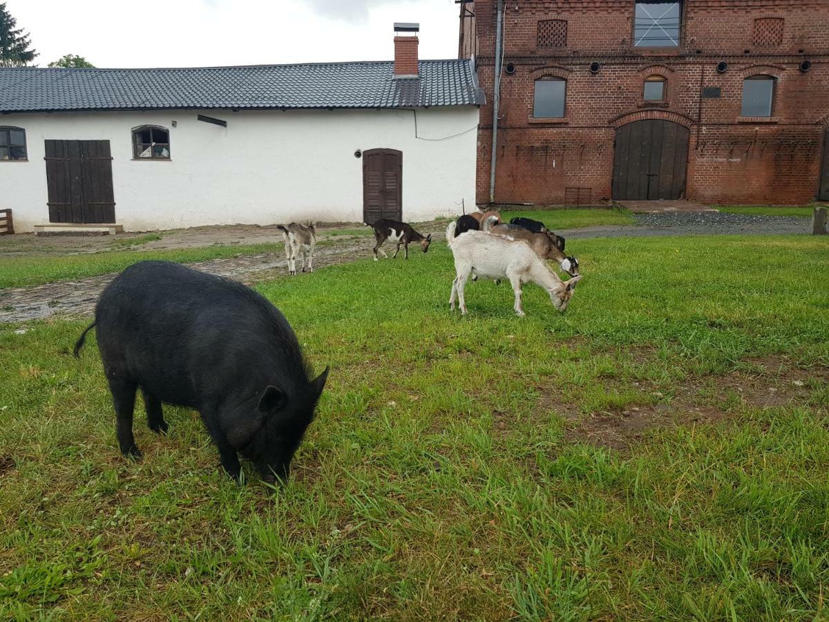 Palac Lawica- Splywy Przelomem Bardzkim Kłodzko Esterno foto