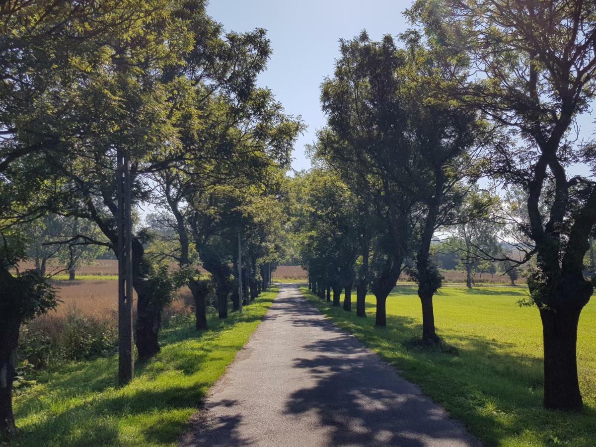 Palac Lawica- Splywy Przelomem Bardzkim Kłodzko Esterno foto